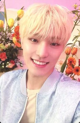 SEVENTEEN セブチ ALWAYS YOURS ラキドロ ディノ SEVENTEEN セブチ alwaysyours ストア特典 フラッシュプライス盤