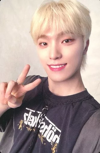 ディノ DINO always yours プレミアムフォト SEVENTEEN SEVENTEEN