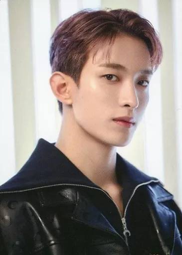 Seventeen dk dokyeom us tour carat zone pc | Mercari