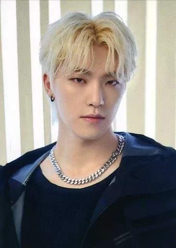 保留　ディノ HANABI POL トレカ SEVENTEEN 保留 ディノ HANABI POL トレカ SEVENTEEN（Collection card