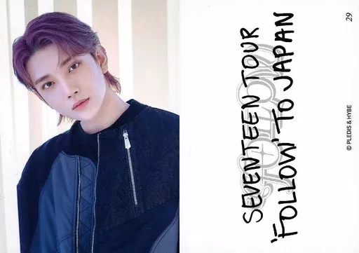 SEVENTEEN SEVENTEEN ジョシュア FOLLOW TO JAPAN うちわ TOUR