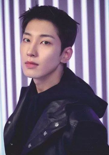 seventeen セブチ ウォヌ wonwoo 원우 トレカセットの通販 by