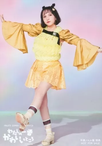 Fruits Zipper / Hayase Noel / CDs 