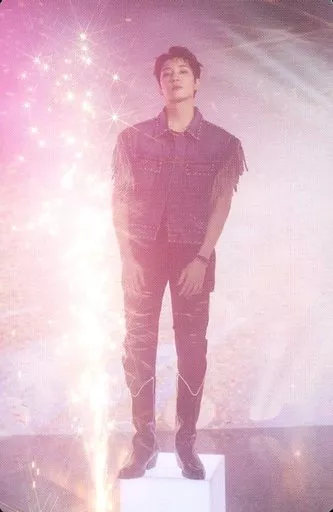 SEVENTEEN HEAVEN ウォヌ WONWOO HMV特典 ラキドロ CD