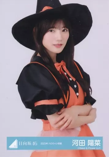 生写真(乃木坂46)/アイドル/日向坂46 河田陽菜/上半身/日向坂46