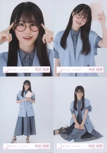 生写真(坂道シリーズ)/アイドル/櫻坂46 ◇向井純葉/櫻坂46ランダム生