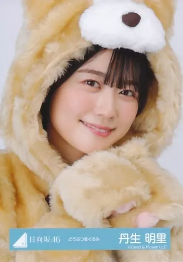 生写真(乃木坂46)/アイドル/日向坂46 丹生明里/バストアップ/日
