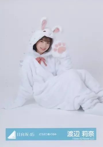 生写真(乃木坂46)/アイドル/日向坂46 渡辺莉奈/座り/日向坂46