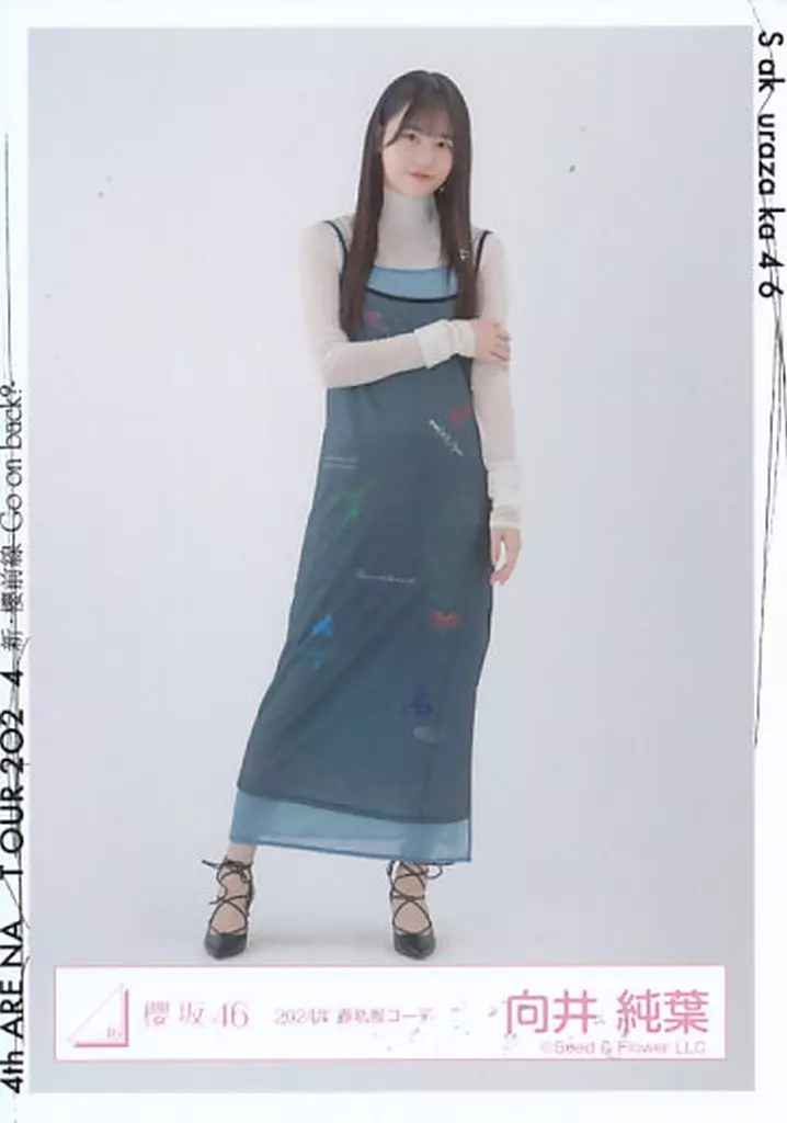 櫻坂46 向井純葉 浴衣 2024 生写真 ヨリ - メルカリ｜写真・チェキ