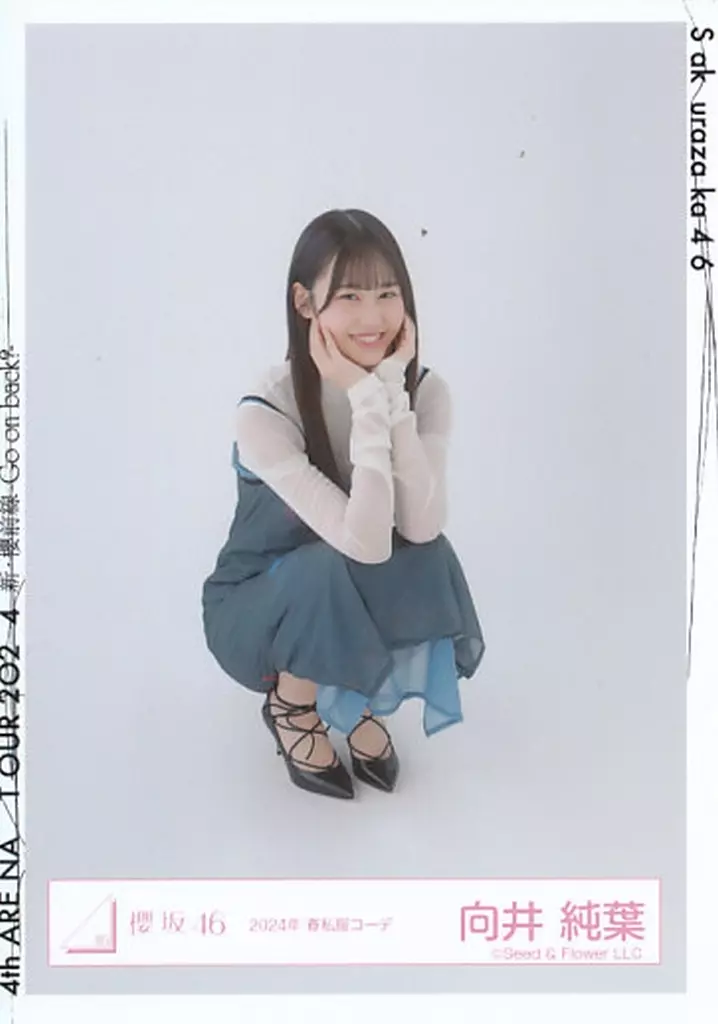 生写真(乃木坂46)/アイドル/櫻坂46 向井純葉/座り/櫻坂46