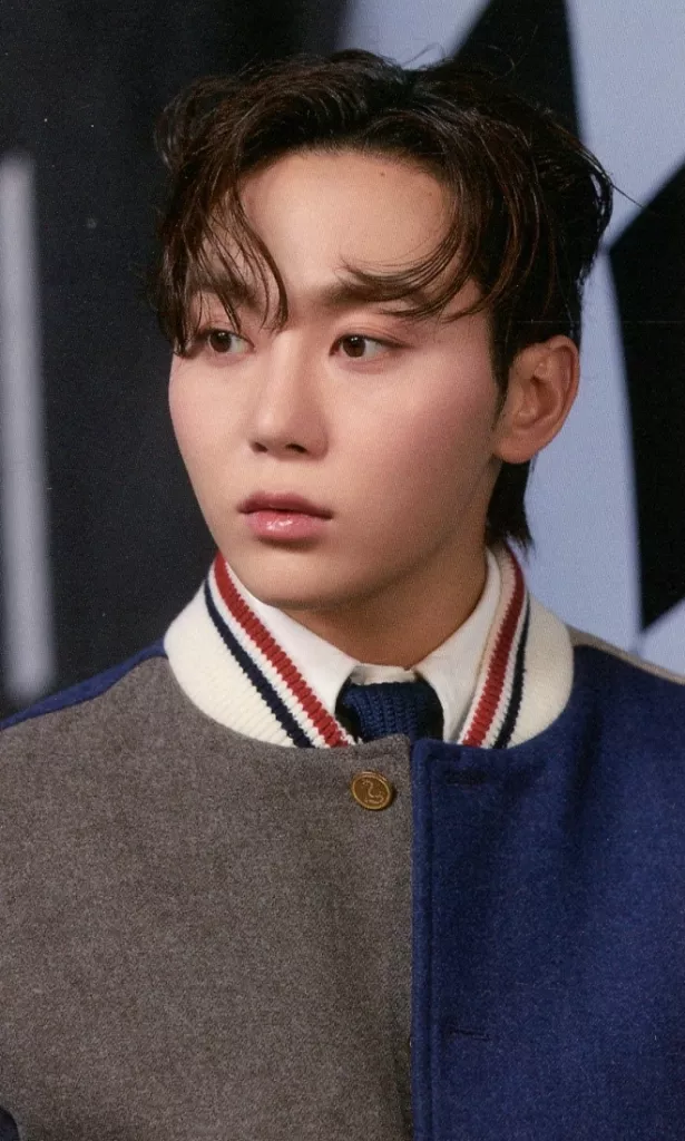 seventeen dear TSUTAYA 特典トレカ 13種コンプ ✖︎2A SEVENTEEN セブチ トレカ ユニバ特典 dear 13種コンプ - メルカリ