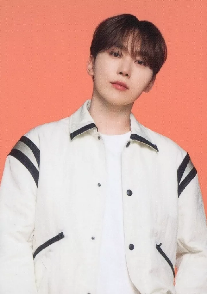 076 : SEVENTEEN / Boo Seung-kwan (SEUNGKWAN) / 