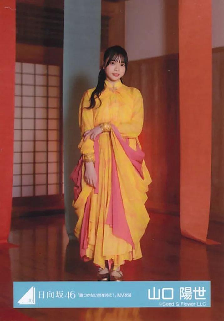 日向坂46 山口陽世 錆つかない剣を持て！ 共通 個別 フルコンプ 生写真 日向坂46 錆つかない剣を持て！ 生写真 山口陽世 コンプ - メルカリ