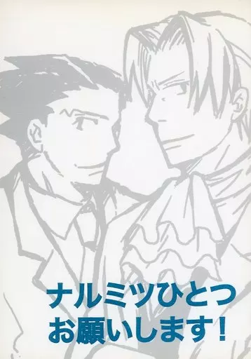 女性向け一般同人誌（BL含む） 逆転裁判 ナルミツひとつお願いします