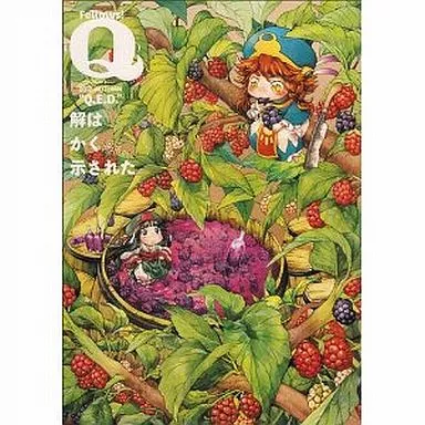 Comic magazine Fellows!(Q) 2012-AUTUMN Q.E.D. Anime | Book  