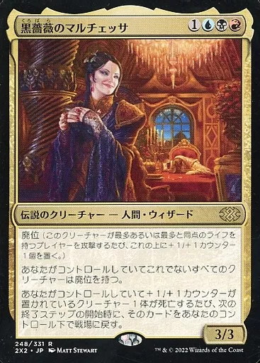 mtg スタンダード　バラ Magic The Gathering / Japanese Version / R / Multi-Color / Double
