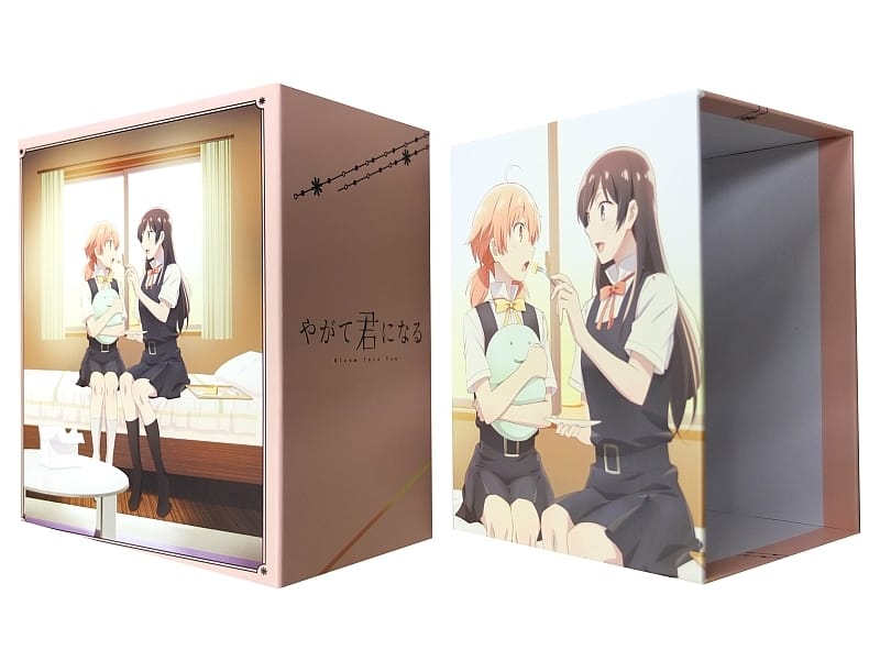 Anime Blu-ray Disc Bloom Into You First Edition 4-Volume Set (with