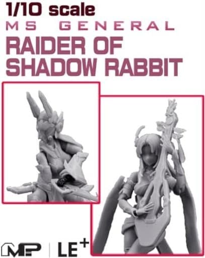 Plastic model 1/10 RAIDER OF SHADOW RABBIT