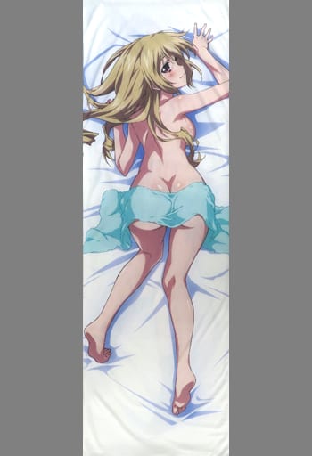 Body Pillow Cover / Sheets [Damaged item] Aiba Asagi body pillow