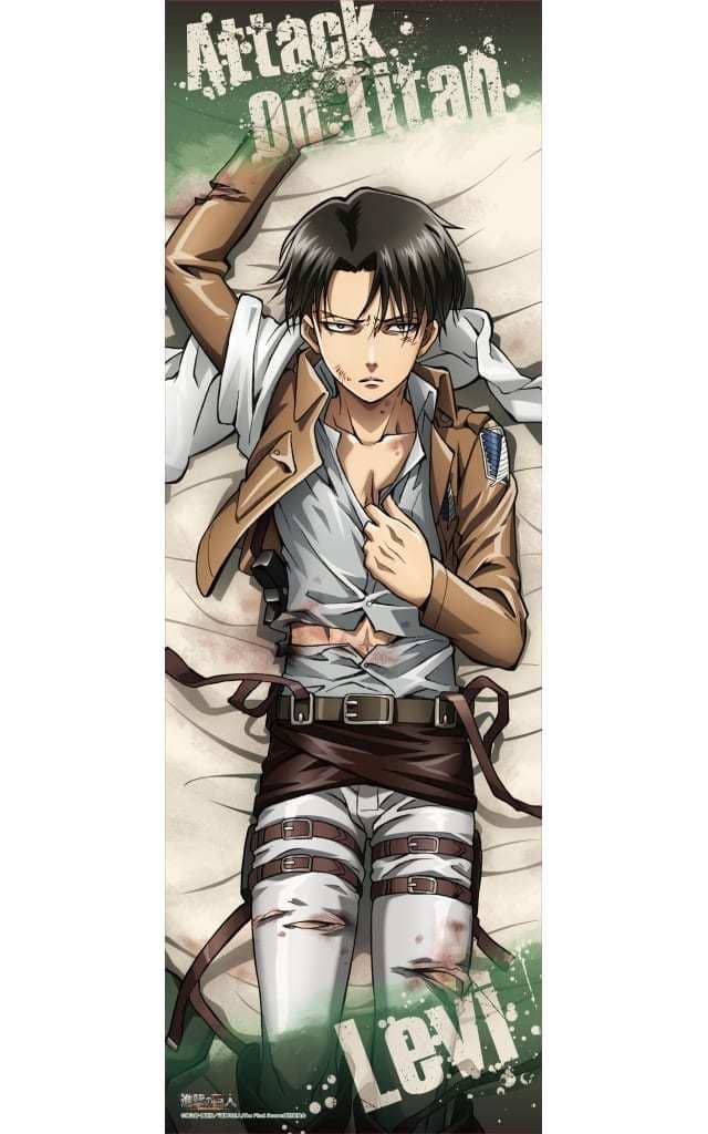 [Damaged Item] B. Captain Levi, Body Pillow Cover "Attack on Titan