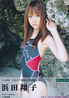 CD写真集 浜田翔子 競泳水着図鑑2007 / デジタル出版