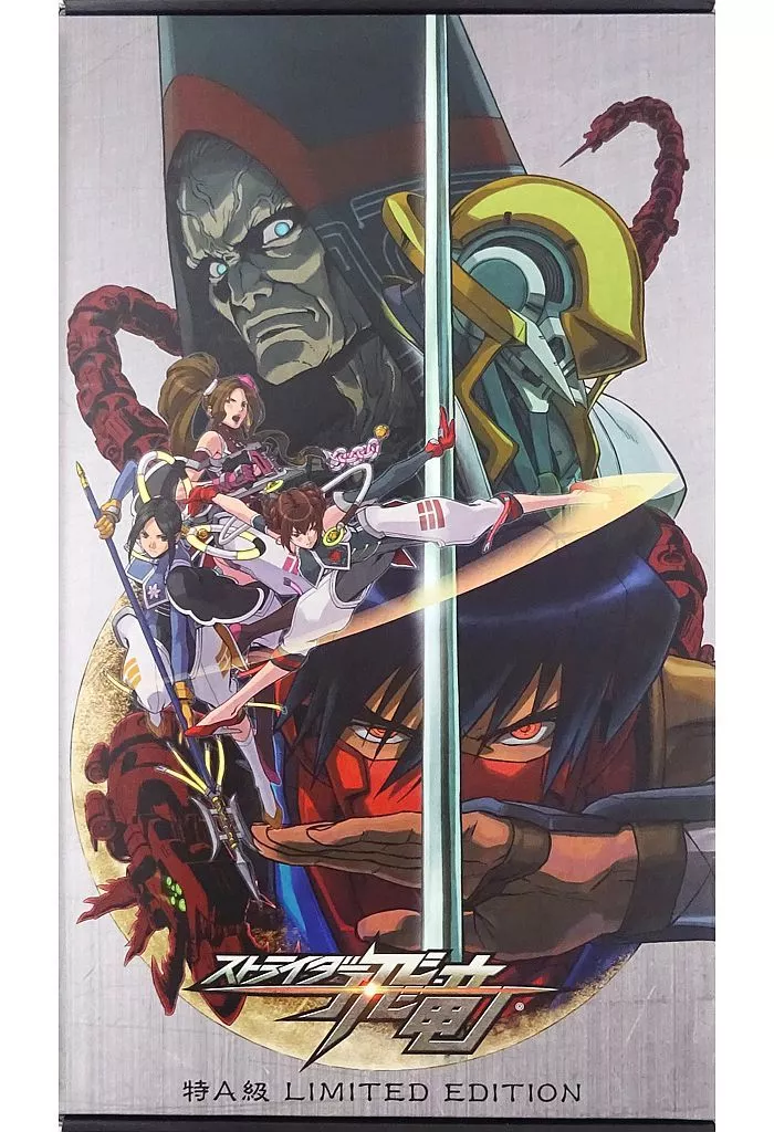 PS3ストライダー飛竜 特A級 LIMITED EDITION 【公式通販】