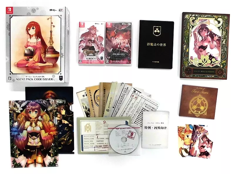 Nintendo Switch Software Saju Concerto DXAGENT PACK CODE