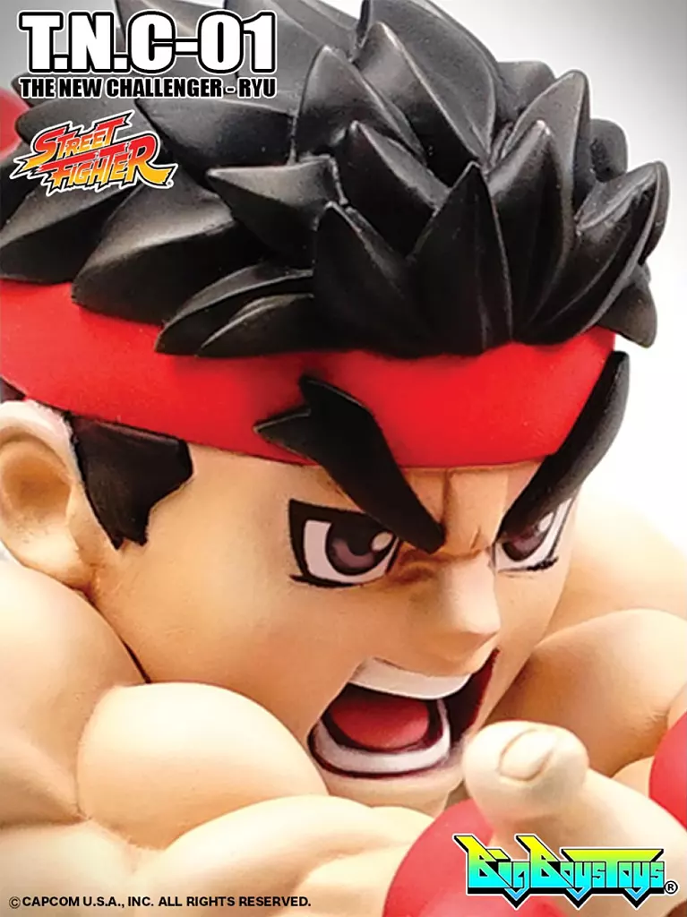 Figure T. N. C. - 01 Ryu 「 STREET FIGHTER II 」 Painted Finished