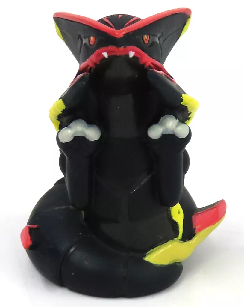 ポケモンキッズXY 色違いのメガレックウザ(パールVer.) キャンペーン当選品