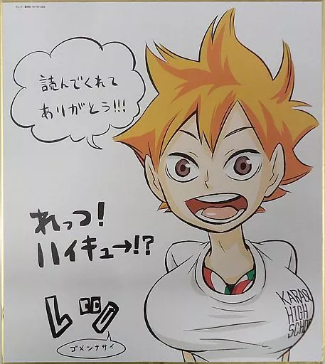 紙製品(キャラクター) 日向翔陽 複製サイン色紙(2枚セット
