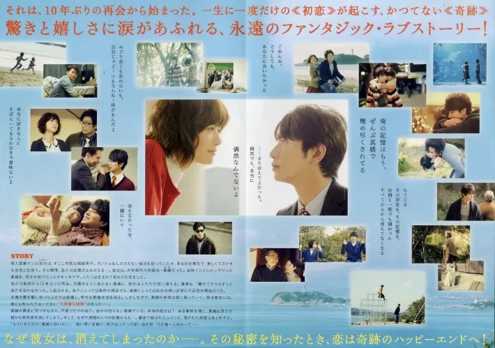 松本潤主演映画 陽だまりの彼女 DVD パンフレット クリア