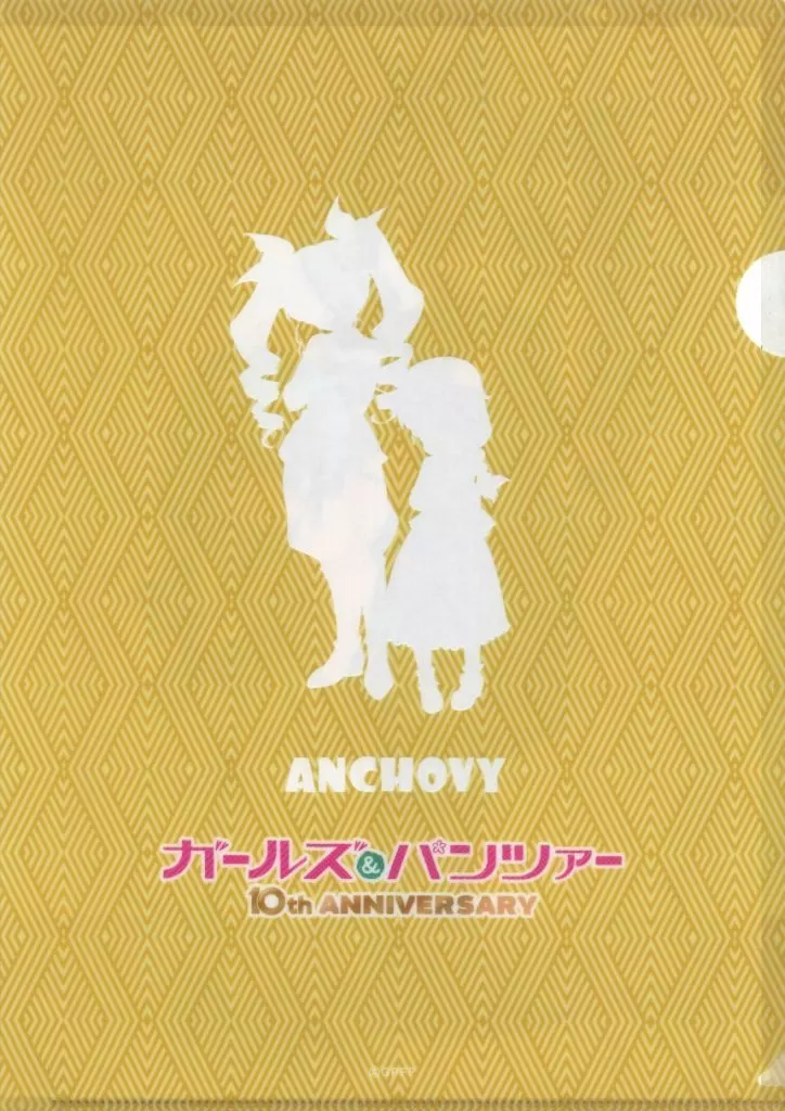 Anchovy 10 years Memory A4 plastic trasparent file folder 