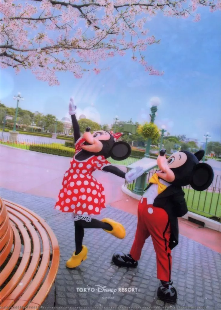 クリアファイル ミッキー＆ミニー(桜) A4厚手クリアホルダー