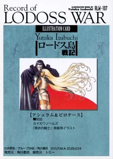 ロードス島戦記 店頭ポスター B2 (破れ)（ロードス島戦記 店頭
