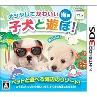 Play with Cute and Stylish Puppies! - Umi -