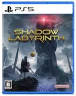 Shadow Labyrinth
