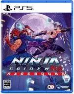 NINJA GAIDEN： Ragebound スタンダードエディション