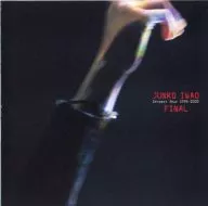 岩男润子/FINAL