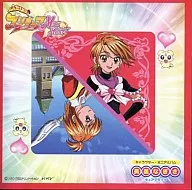 Bisumi Nagisa / Pretty Cure Max Heart Character Cter Mini Album