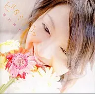 Junko Minagawa / Vitamina J