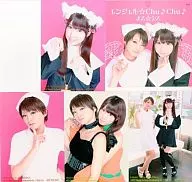 Beringela Cis/Anjo Chu Chu Chu Chu + conjunto de fotos