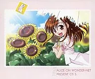 Little Seraph / ALICE ON WONDER-NET PRESENT CD5