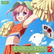 Radio CDVol.13