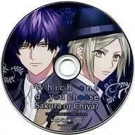 DYNAMIC CHORD feat. Liar-S V edition Animate limited set special drama CD "Which one do you choose Chiya or Sakura?"