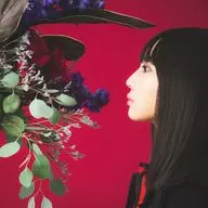 DUSTY FRUITS CLUB/Seeds of sound