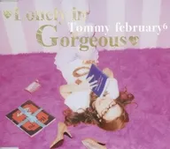 Tommy february6 / Lonely in Gorgeous[通常仕様] ～Paradise Kiss OPテーマ