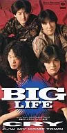 BIG LIFE / CRY ～アニメ映画「ストリートファイターII MOVIE」挿入歌