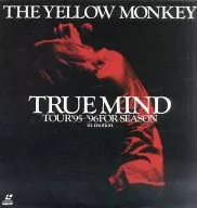 The Yellow Monkey / True Mind Tour' 95-96 Four Seasons In Motion