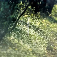 ふきのとう / ふきのとう 15th ANNIVERSARY 少年達の夏