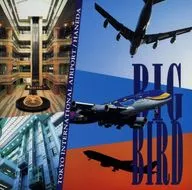Big Bird, Great Flight